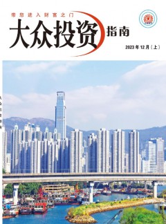 大众投资指南杂志