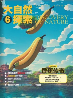 大自然探索杂志