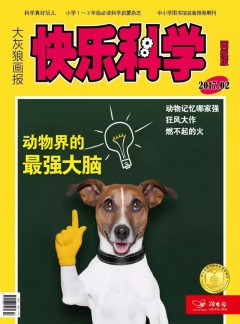 快乐科学杂志