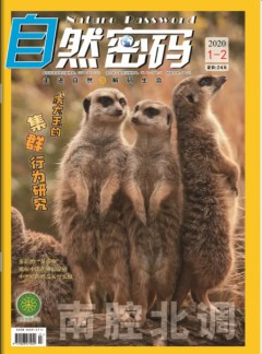 自然密码杂志
