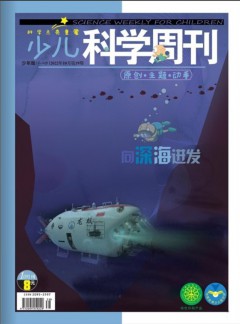 少儿科学周刊杂志