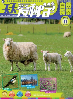 天天爱科学杂志