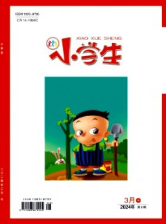 小学生·中旬刊杂志