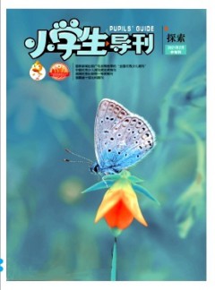小学生导刊·中年级杂志