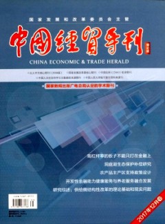 中国经贸导刊(中)