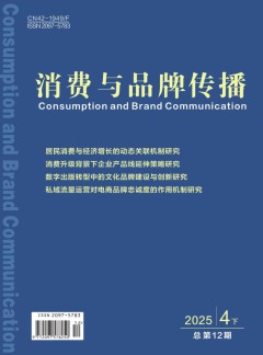 消费与品牌传播