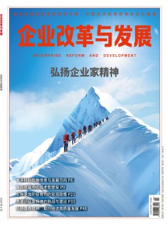 企业改革与发展